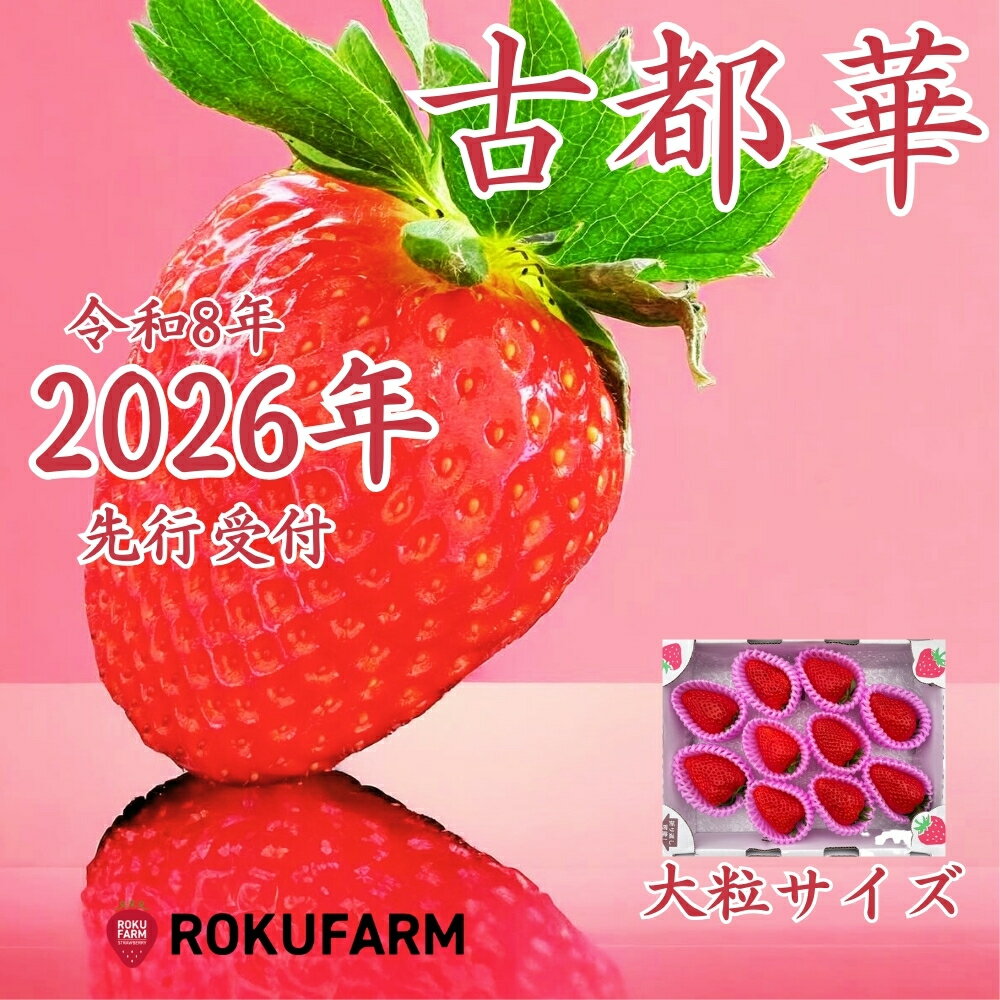 ★★2026年予約販売開始★★【2026年（令和8年）1月?発送】愛情たっぷり古都華（大粒サイズ）限定出荷 いちご 苺 イチゴ ブランド 古都華 大粒 旬 産地 直送 おすすめ 奈良県 奈良市 なら 20-050