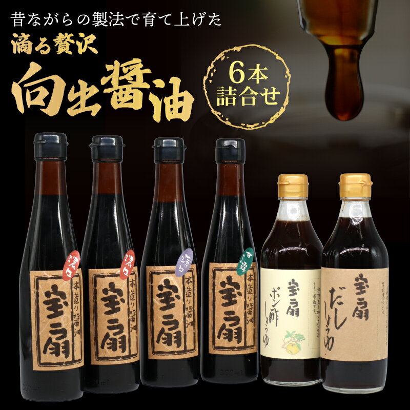 醤油 ポン酢 向出醤油 詰合せセット 濃口醤油 薄口醤油 甘露（たまり醤油）だし醤油 しょうゆ 詰め合わせ 向出醤油醸造元 調味料 料理 おいしい醤油 楽天 通販 返礼品 寄付 プレゼント ギフト お歳暮 ご挨拶 御祝 故郷納税 奈良県 奈良市 奈良 なら I-52