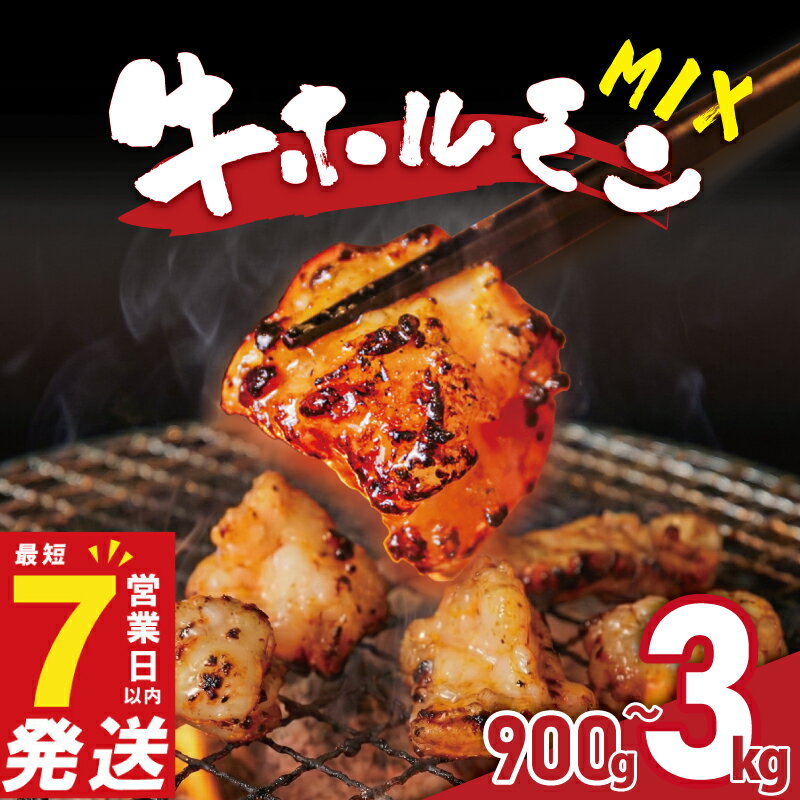 ホルモン 牛 ミックス 900g~3kg 小分け 最短7営業日以内発送 味付き 肉 タレ漬け 牛ホルモン 冷凍 牛肉 味付け肉 ミックスホルモン 焼肉 焼き肉 バーベキュー BBQ キャンプ フライパン ミックスホルモン 奈良県 奈良市 焼肉工房もく 900g 1.2kg 3kg 300g