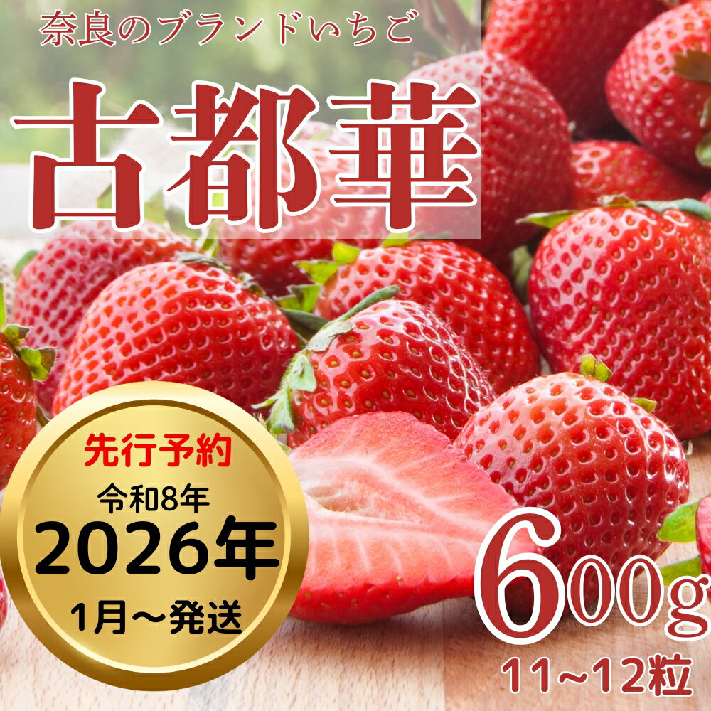 【2026年1月以降発送】いちご（古都華）藤井農園特選大粒古都華600g×1ケース（数量限定 予約販売）奈良県 奈良市 なら 25-037