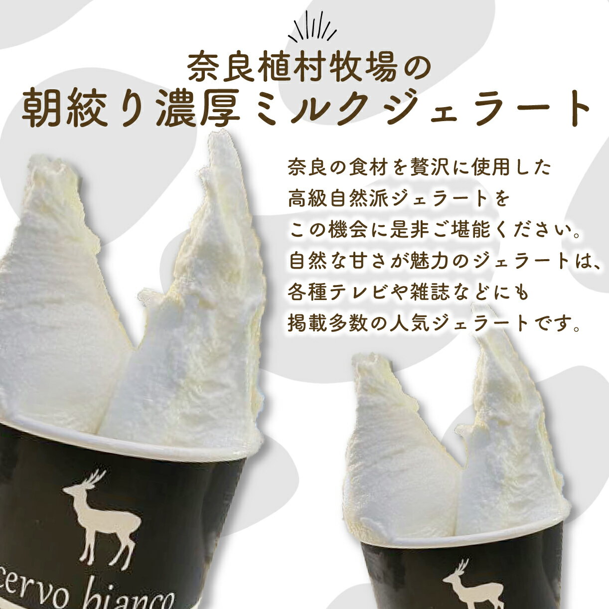 【ふるさと納税】 ジェラート ミルク 濃厚 5個 セット チェルボビアンコ 詰め合わせ ソフトクリーム アイスクリーム アイス スイーツ 人気 お菓子 洋菓子 デザート 贈り物 ギフト 贅沢 高級 濃厚 クリーミー 口溶け なめらか 奈良 名物 特産品 敬老の日 奈良市 奈良県 J-47 サムネイル3