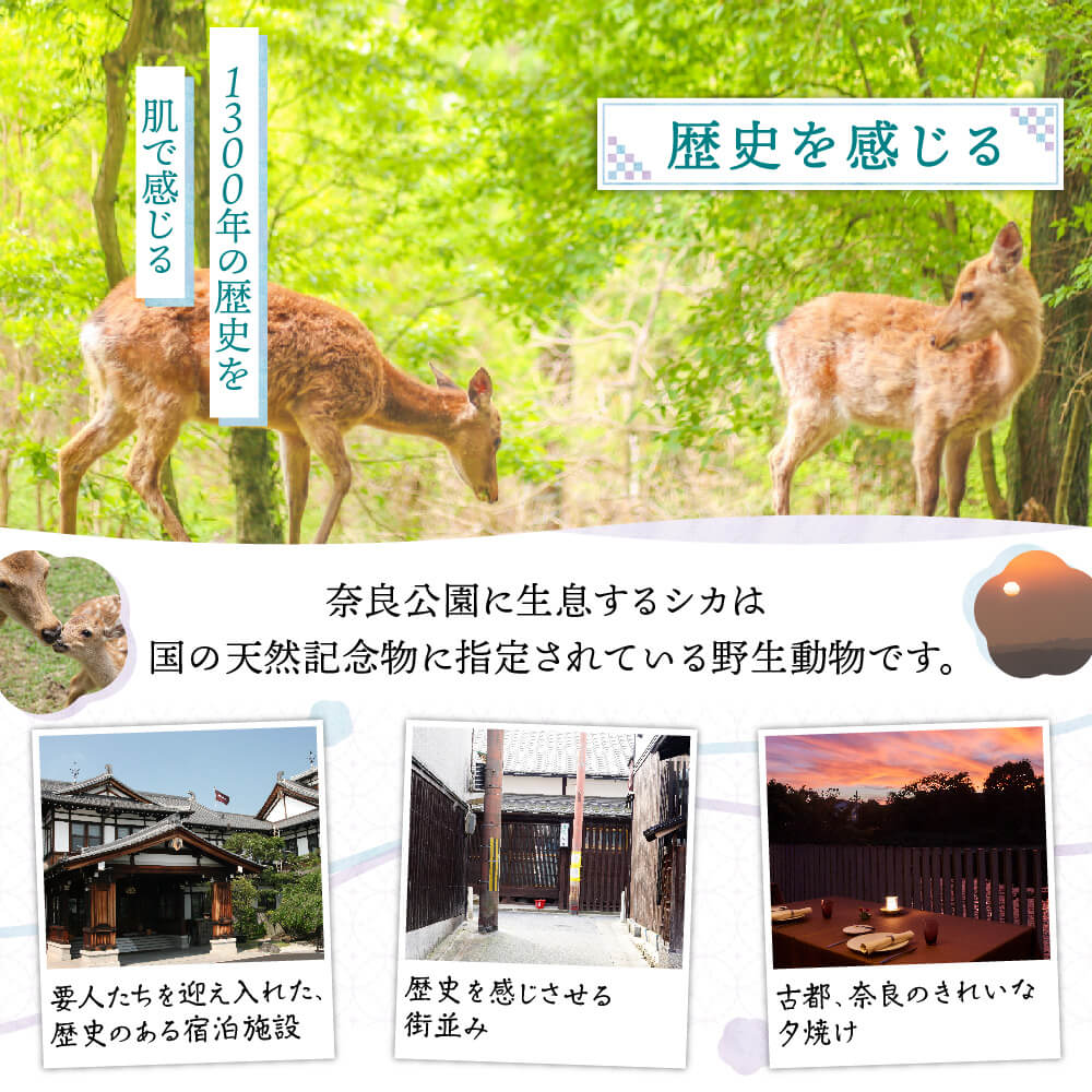 【ふるさと納税】奈良県奈良市の対象施設で使える楽天トラベルクーポン 寄付額20,000円 楽天ふるさと 納税 トラベルクーポン 旅行券 ギフト 宿泊券 宿泊補助券 旅行 トラベル クーポン チケット 金券 ホテル 旅館 リゾート 国内旅行 宿泊 観光 応援 温泉 旅館 クリスマス 秋 - 画像3