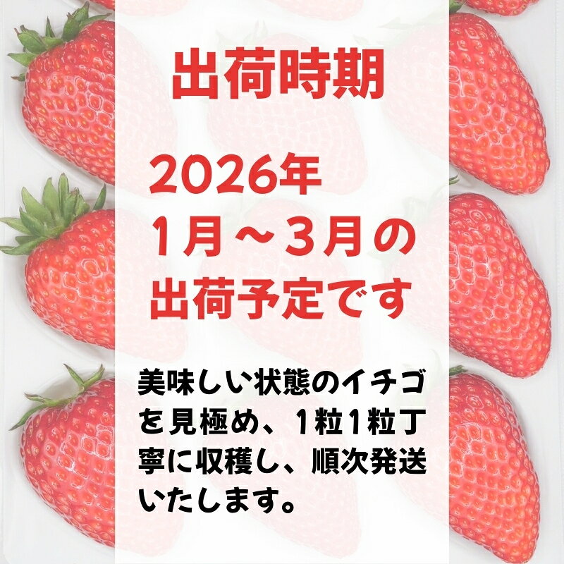 【ふるさと納税】 【 数量限定 予約販売 】 ブランド いちご 古都華 1P 数量限定 大粒 4L ～ 5Lサイズ 2026年 1月 以降順次発送 1月 2月 3月 送料無料 宝石のような濃いルビー色 ギフト スイーツ 苺 フルーツ 果物 イチゴ 甘い 限定 奈良 市 なら 古都華カンパニー IK-01 サムネイル2