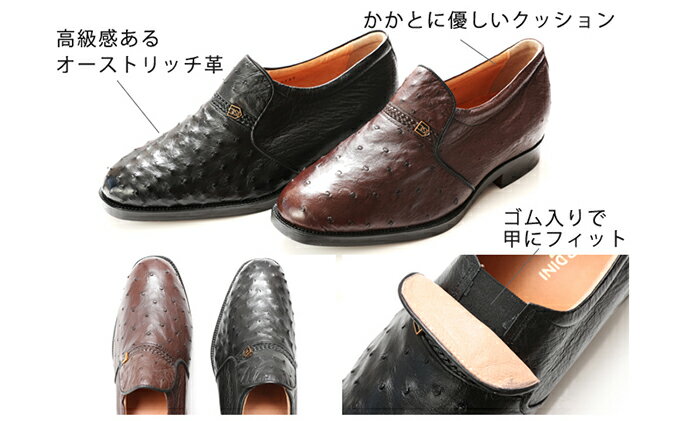 【ふるさと納税】オーストリッチ革 ビジネスシューズ 革靴 本革 紳士靴 プレーン 4E ワイド No.1265 ブラウン　【雑貨・日用品・ビジネスシューズ・本革・シューズ・靴】 サムネイル3