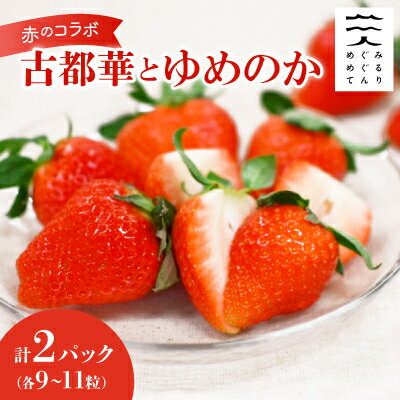 赤のコラボ「古都華」と「ゆめのか」(それぞれ9粒～11粒)【配送不可地域：離島】【1097359】
