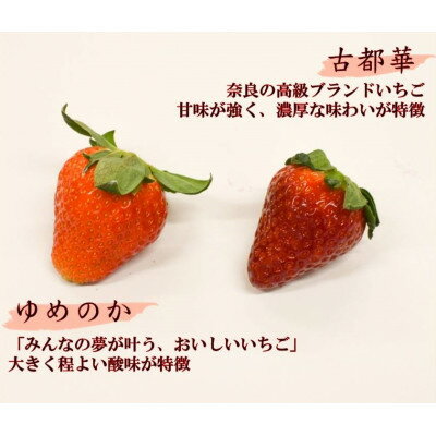 【ふるさと納税】赤のコラボ「古都華」と「ゆめのか」(それぞれ9粒～11粒)【配送不可地域：離島】【1097359】 サムネイル2