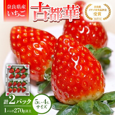 【2025年12月下旬順次発送】《希少品》奈良県産いちご「古都華」大粒(5L～4Lサイズ )2パック【配送不可地域：離島】【1556701】