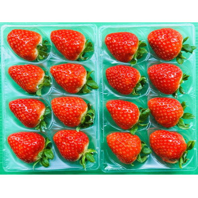 【ふるさと納税】【2025年12月下旬順次発送】《希少品》奈良県産いちご「古都華」大粒(5L～4Lサイズ )2パック【配送不可地域：離島】【1556701】 サムネイル2