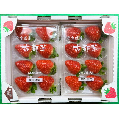 【ふるさと納税】【2025年12月下旬順次発送】《希少品》奈良県産いちご「古都華」大粒(5L～4Lサイズ )2パック【配送不可地域：離島】【1556701】 サムネイル3