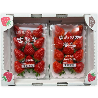 【ふるさと納税】【2026年1月順次発送】奈良県産いちご「古都華」と「ゆめのか」の食べくらべ　合計2パック【配送不可地域：離島】【1556702】 サムネイル2