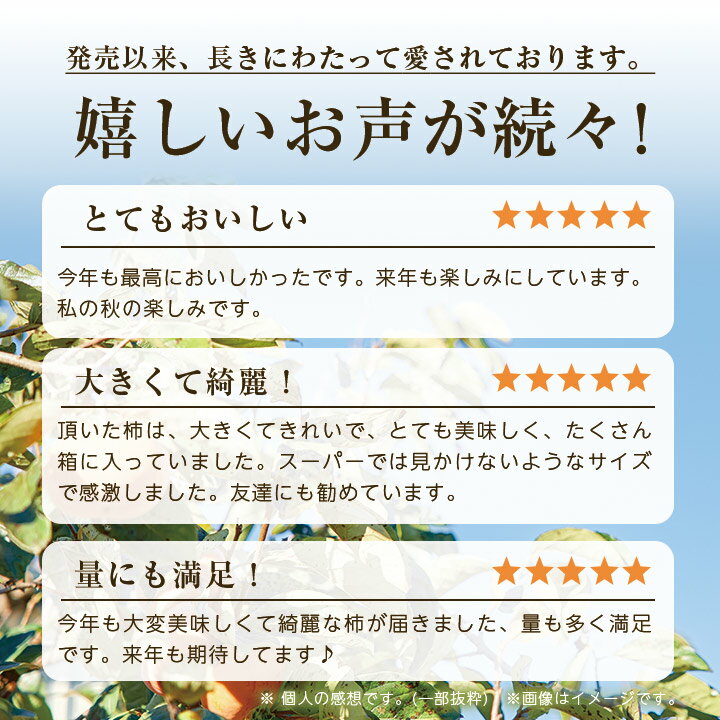 【ふるさと納税】【R8年10月以降発送】刀根早生柿発祥の地・天理市のひらたねなし柿(L～3Lサイズ、28～36個)_ 柿 かき 種なし柿 フルーツ くだもの 果物 人気 おすすめ 送料無料 贈答 ギフト プレゼント 刀根 早生柿 奈良県 天理市 【配送不可地域：離島】【1070571】 - 画像2