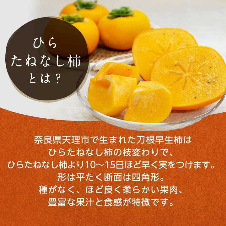 【ふるさと納税】【R8年10月以降発送】刀根早生柿発祥の地・天理市のひらたねなし柿(L～3Lサイズ、28～36個)_ 柿 かき 種なし柿 フルーツ くだもの 果物 人気 おすすめ 送料無料 贈答 ギフト プレゼント 刀根 早生柿 奈良県 天理市 【配送不可地域：離島】【1070571】 - 画像3