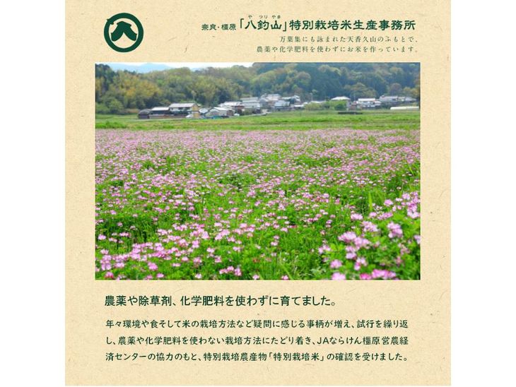 【ふるさと納税】奈良・橿原　農薬や化学肥料不使用【令和7年産】ヒノヒカリ 約5kg（5kg×1袋） - 画像3