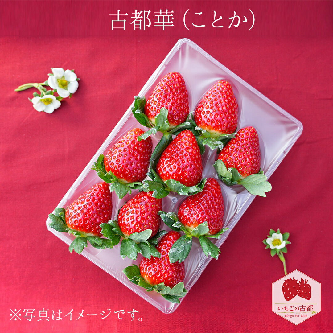 【先行予約・数量限定】【奈良県知事賞受賞】古都華（ことか）Lサイズ（11～15粒入り）×2パック｜とのあさイチゴ農園 ※2026年1月中旬～5月上旬頃に順次発送予定