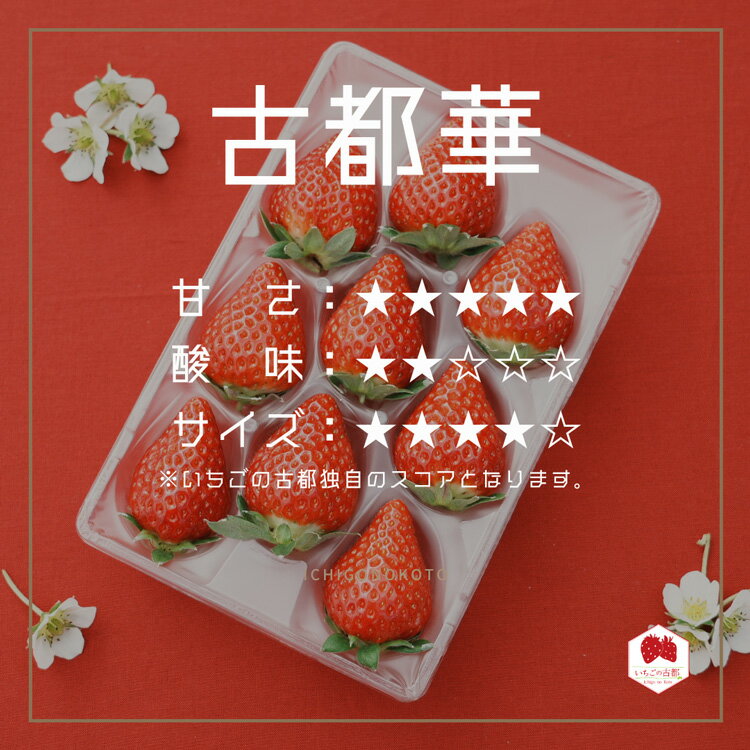 【ふるさと納税】【先行予約・数量限定】【奈良県知事賞受賞】古都華（ことか）Lサイズ（11～15粒入り）×2パック｜とのあさイチゴ農園 ※2026年1月中旬～5月上旬頃に順次発送予定 サムネイル3