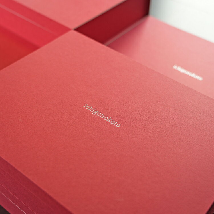 【ふるさと納税】【先行予約・数量限定】【奈良県知事賞受賞】ギフトボックス入り古都華（ことか）3Lサイズ（6粒入り）×2パック｜とのあさイチゴ農園 ※2026年1月中旬～5月上旬頃に順次発送予定 サムネイル2