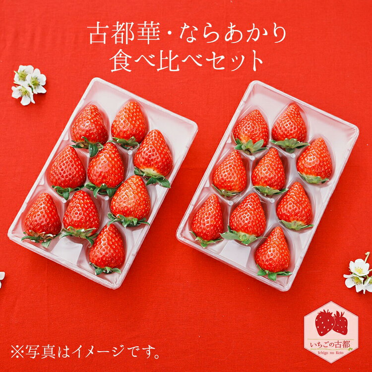 【先行予約・数量限定】【奈良県知事賞受賞】【食べ比べセット】古都華（ことか）1パック・ならあかり1パック｜とのあさイチゴ農園 ※2026年1月中旬～5月上旬頃に順次発送予定