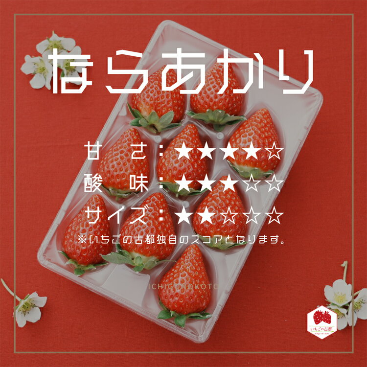 【ふるさと納税】【先行予約・数量限定】【奈良県知事賞受賞】【食べ比べセット】古都華（ことか）1パック・ならあかり1パック｜とのあさイチゴ農園 ※2026年1月中旬～5月上旬頃に順次発送予定 サムネイル3