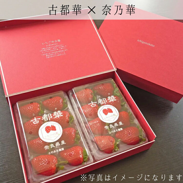 【先行予約・数量限定】【奈良県知事賞受賞】【食べ比べセット：ギフトボックス】古都華（ことか）1パック・奈乃華1パック｜とのあさイチゴ農園 ※2026年1月中旬～5月上旬頃に順次発送予定