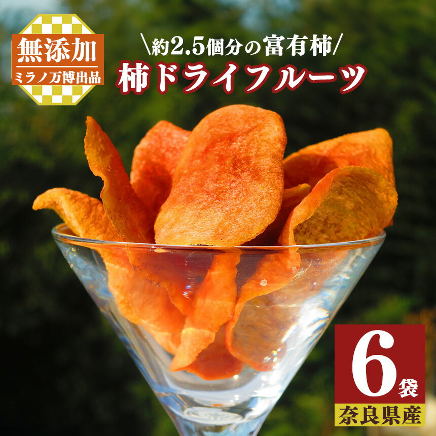 柿 ドライフルーツ （40g×6袋 ）| フルーツ 果物 くだもの 柿 かき カキ ドライフルーツ 奈良県 五條市