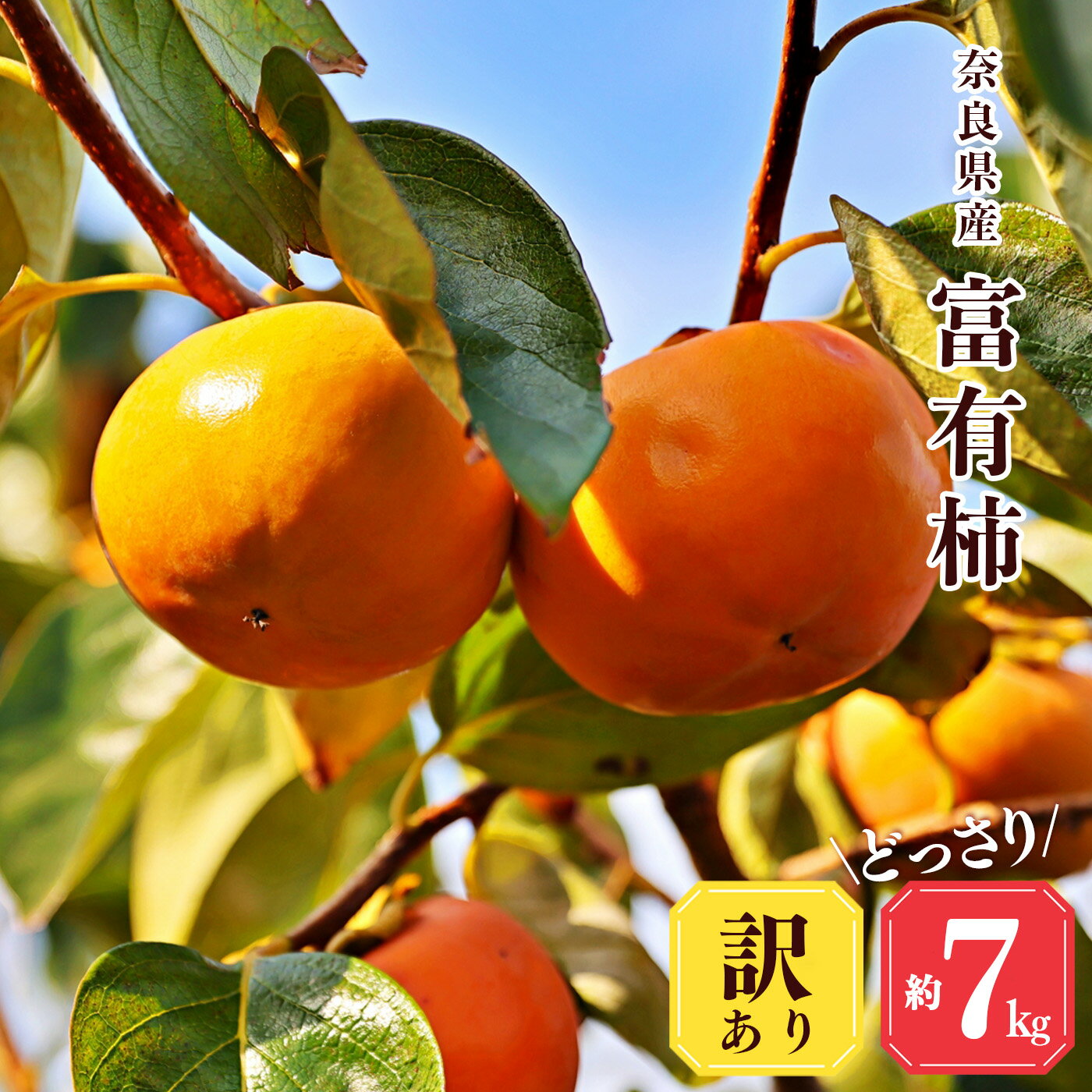 訳あり 柿 大容量 富有柿 堀うち農園 どっさり 約 7kg | フルーツ くだもの 果物 柿 かき カキ デザート 富有柿 奈良県 五條市