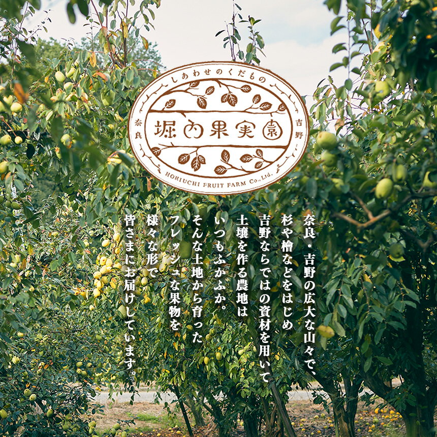 【ふるさと納税】 あんぽ柿 ギフトセット 堀内果実園 ｜フルーツ 果物くだのも 柿 かき カキ あんぽ 柿 贈答品 奈良県 五条市 サムネイル3