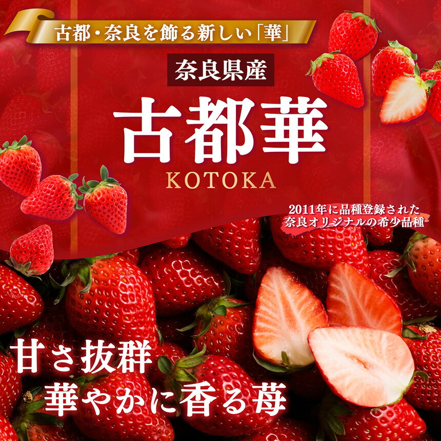 【ふるさと納税】 いちご 奈良 の いちご 「 古都華 〜 ことか 〜」 大粒 厳選 Deluxe（大箱） ※12月下旬頃〜3月下旬頃に順次発送予定　※北海道・沖縄・離島対応不可 | フルーツ くだもの 果物 いちご イチゴ ことか コトカ 古都華 奈良県 五條市 サムネイル2