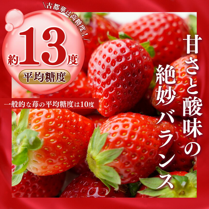 【ふるさと納税】 いちご 奈良 の いちご 「 古都華 〜 ことか 〜」 大粒 厳選 Deluxe（大箱） ※12月下旬頃〜3月下旬頃に順次発送予定　※北海道・沖縄・離島対応不可 | フルーツ くだもの 果物 いちご イチゴ ことか コトカ 古都華 奈良県 五條市 サムネイル3