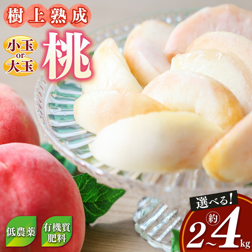 桃 （ 小玉 or 大玉） 約2～4kg 箱 先行予約 | フルーツ 果物 くだもの もも モモ ピーチ 奈良県 五條市 果実 果汁