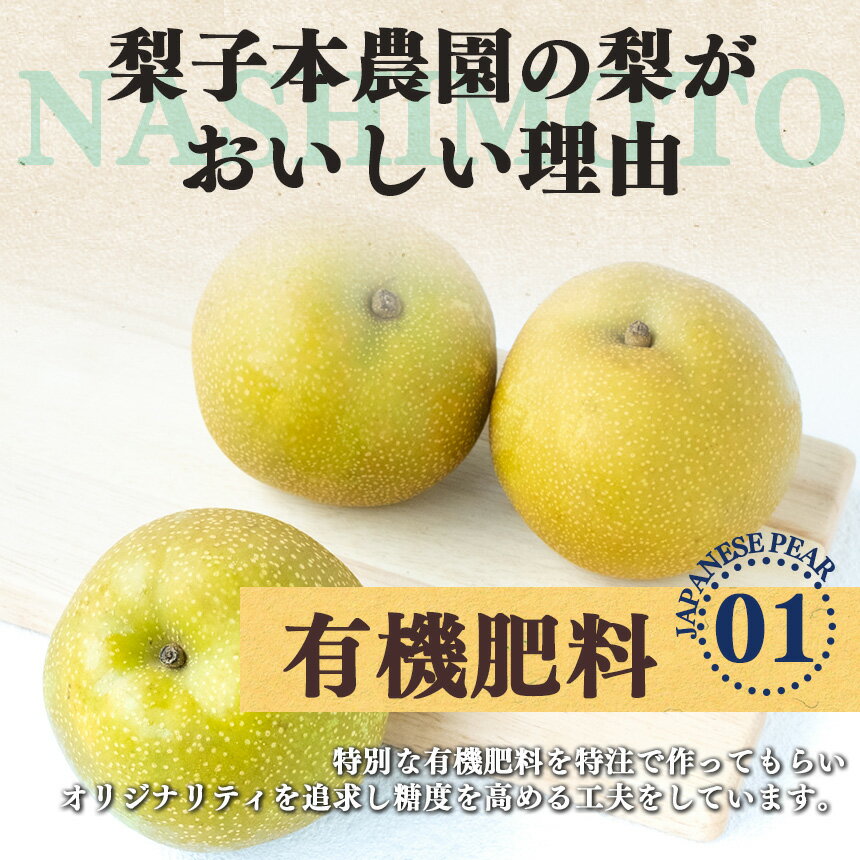 【ふるさと納税】 梨 二十世紀梨 3kg | フルーツ 果物 くだもの 梨 なしナシ 奈良県 五條市 ※2026年 9月上旬頃から順次発送予定 - 画像3