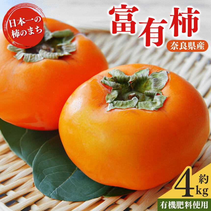 柿 富有柿 約 4kg | フルーツ 果物 くだもの 柿 カキ かき お歳暮 贈答品 贈り物 奈良県 五條市 ※11月上旬 発送予定