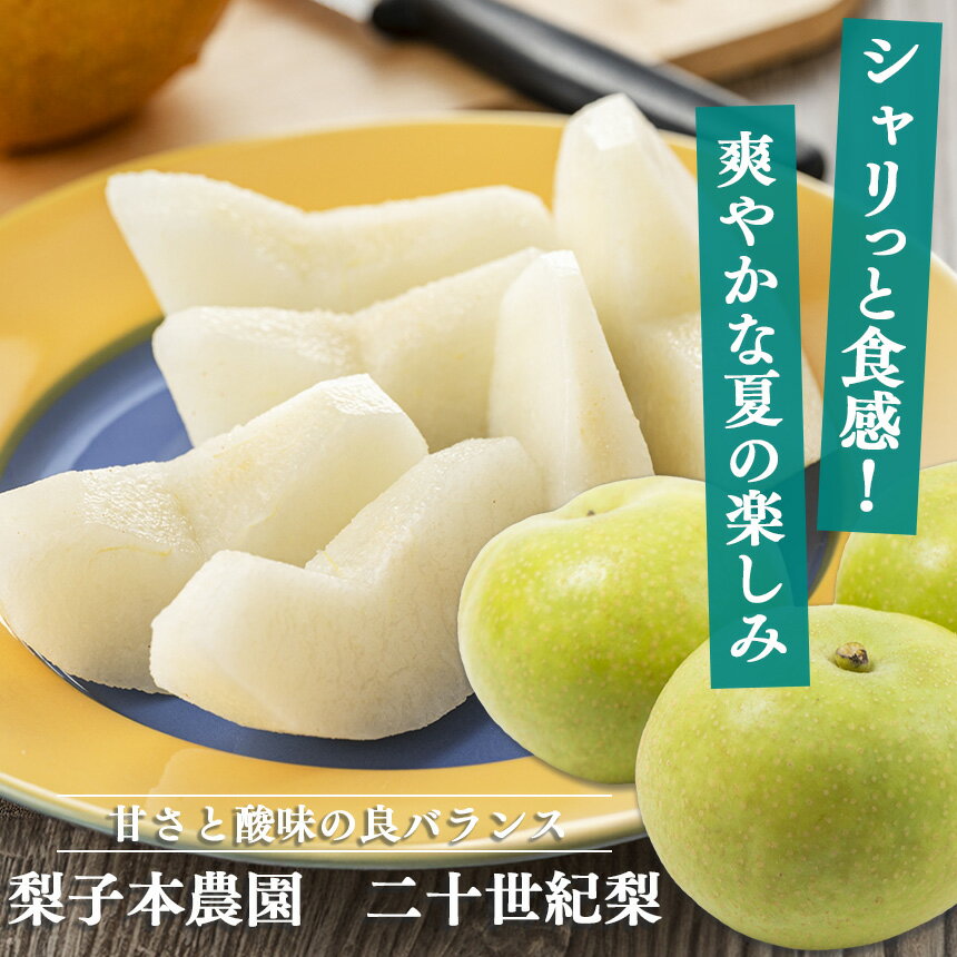 【ふるさと納税】 梨 二十世紀梨 3kg | フルーツ 果物 くだもの 梨 なしナシ 奈良県 五條市 ※2026年 9月上旬頃から順次発送予定 - 画像2