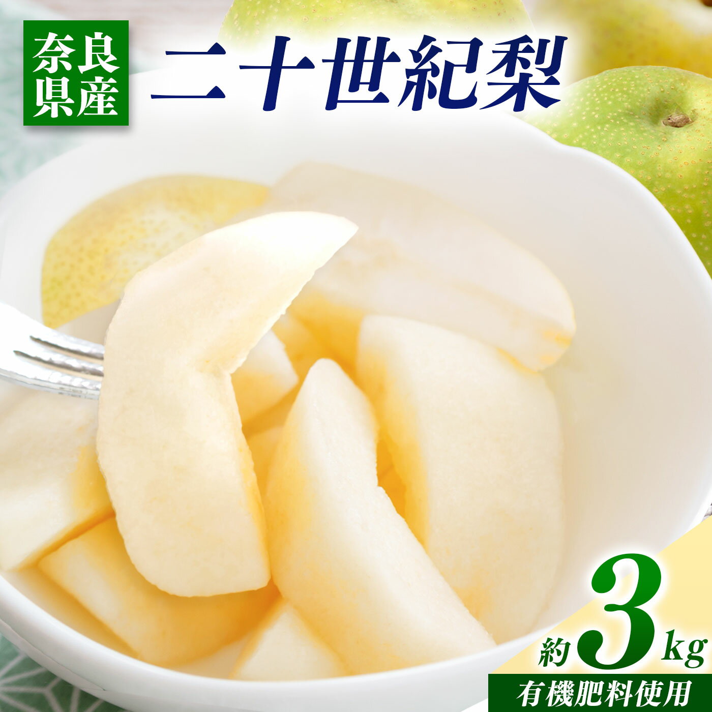 梨 二十世紀梨 3kg | フルーツ 果物 くだもの 梨 なしナシ 奈良県 五條市 ※2026年 9月上旬頃から順次発送予定