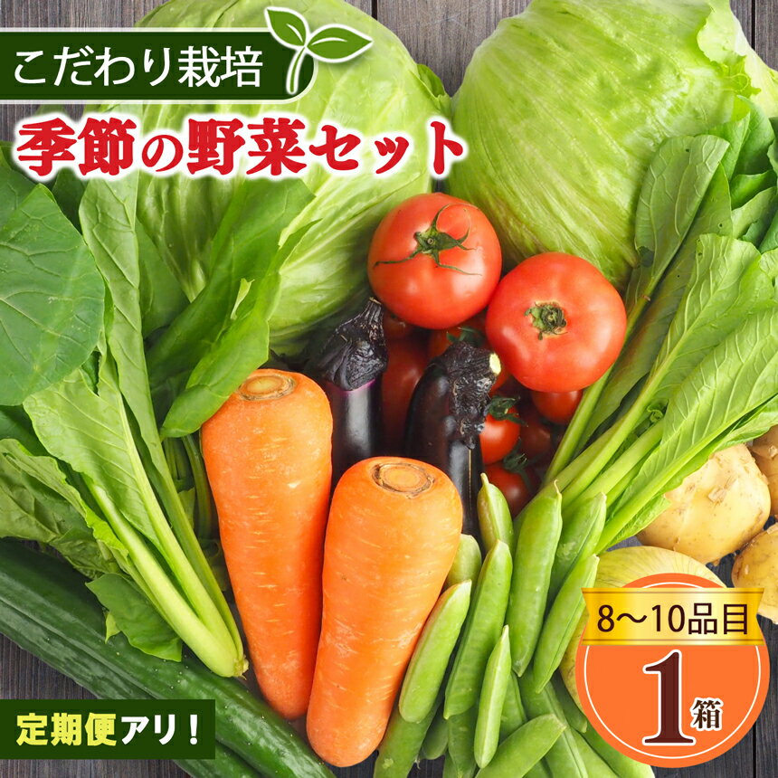 定期便 アリ！ 生命の農法（ 無化学農薬 ・ 無化学肥料栽培 ） 季節の野菜 セット | ヤサイ 野菜 やさい 詰め合わせ 奈良県 五條市
