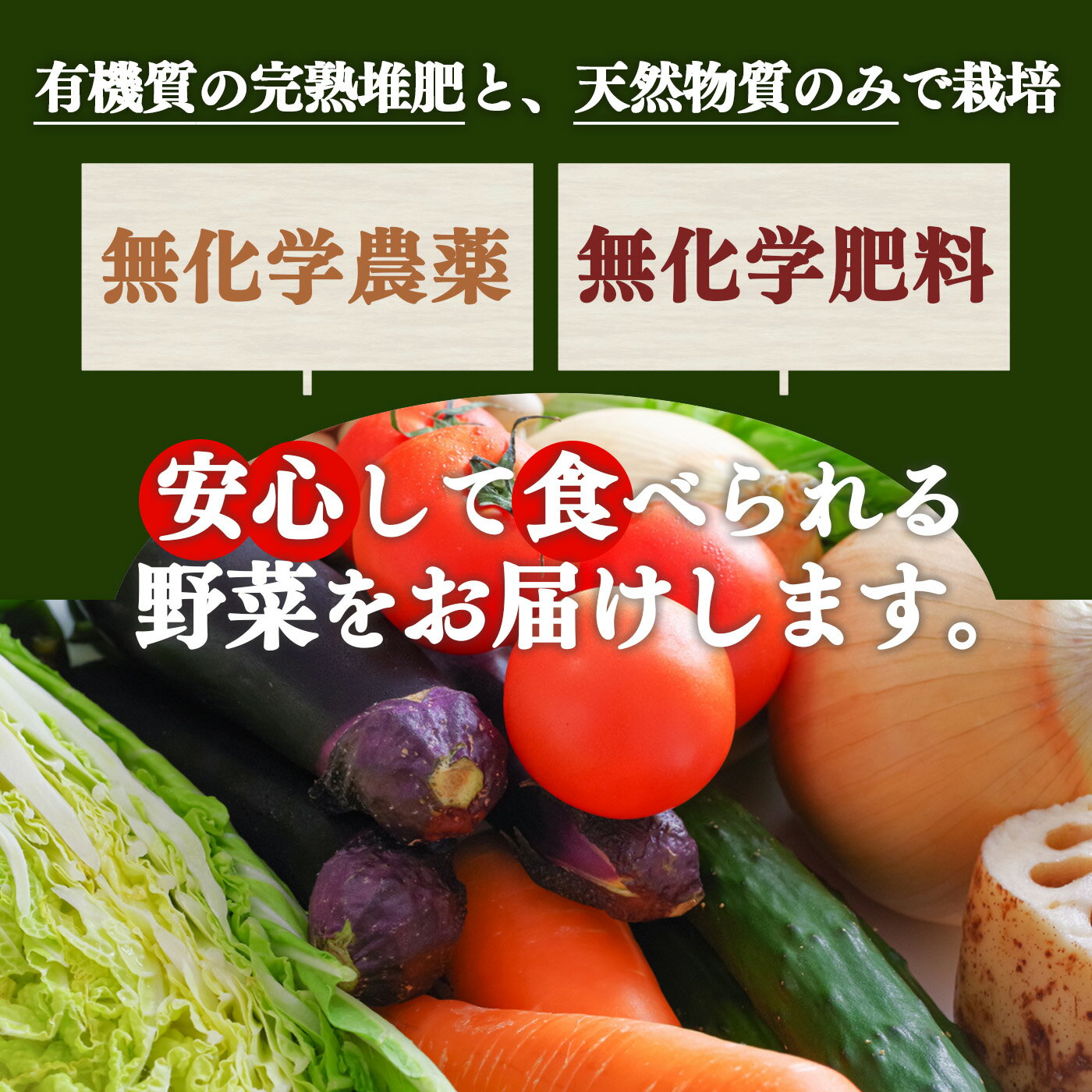 【ふるさと納税】 野菜 【 定期便 12回 】 生命の農法（ 無化学農薬 ・ 無化学肥料栽培 ） 季節の野菜 セット | ヤサイ 野菜 やさい 詰め合わせ 奈良県 五條市 - 画像3