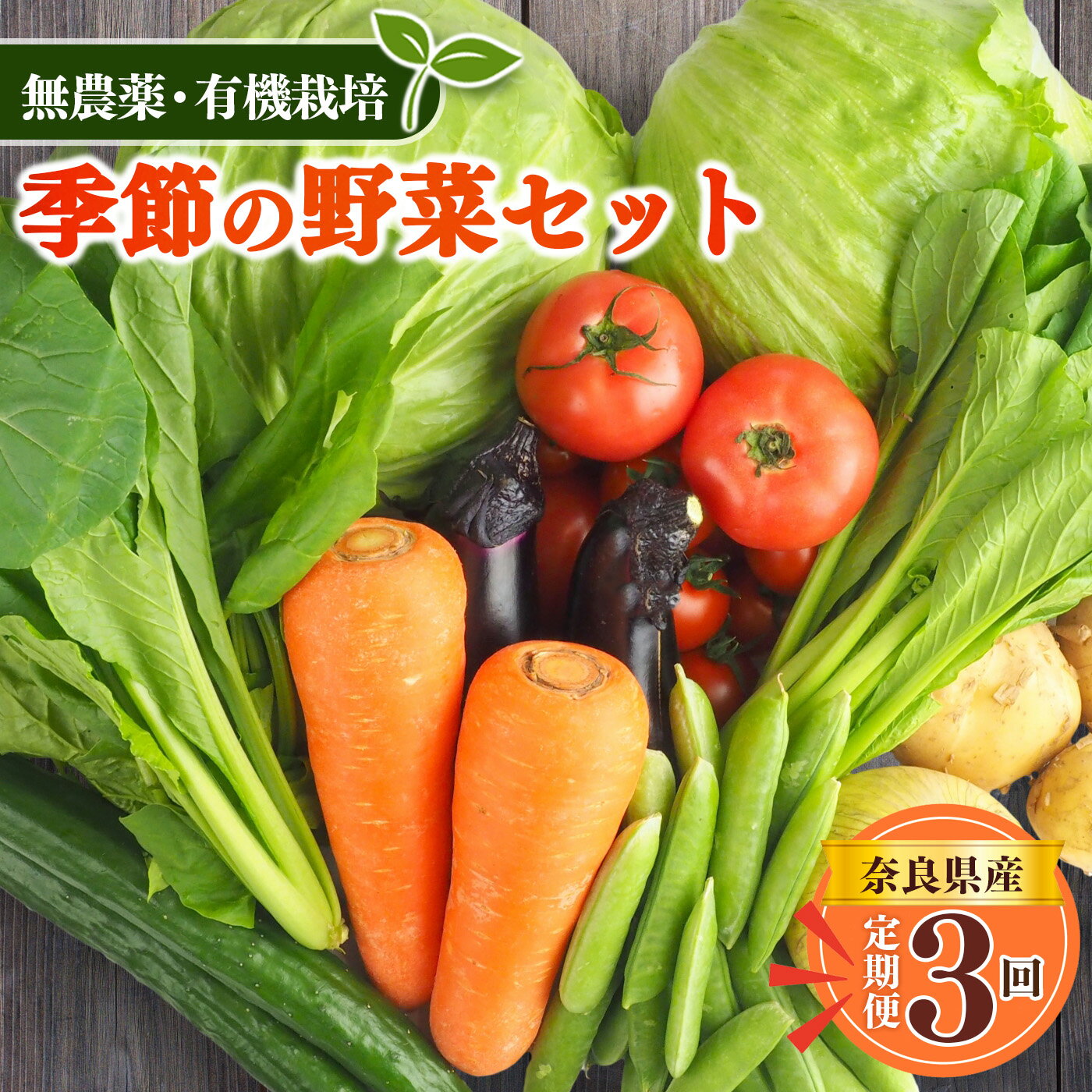 野菜 【 定期便 3回 】 生命の農法（ 無化学農薬 ・ 無化学肥料栽培 ） 季節の野菜 セット | ヤサイ 野菜 やさい 詰め合わせ 奈良県 五條市