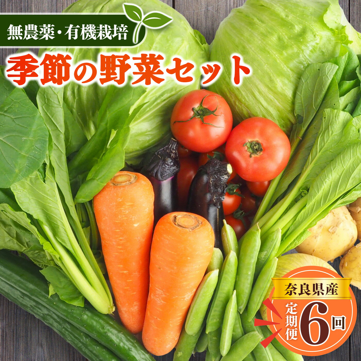 野菜 【 定期便 6回 】 生命の農法（ 無化学農薬 ・ 無化学肥料栽培 ） 季節の野菜 セット | ヤサイ 野菜 やさい 詰め合わせ 奈良県 五條市