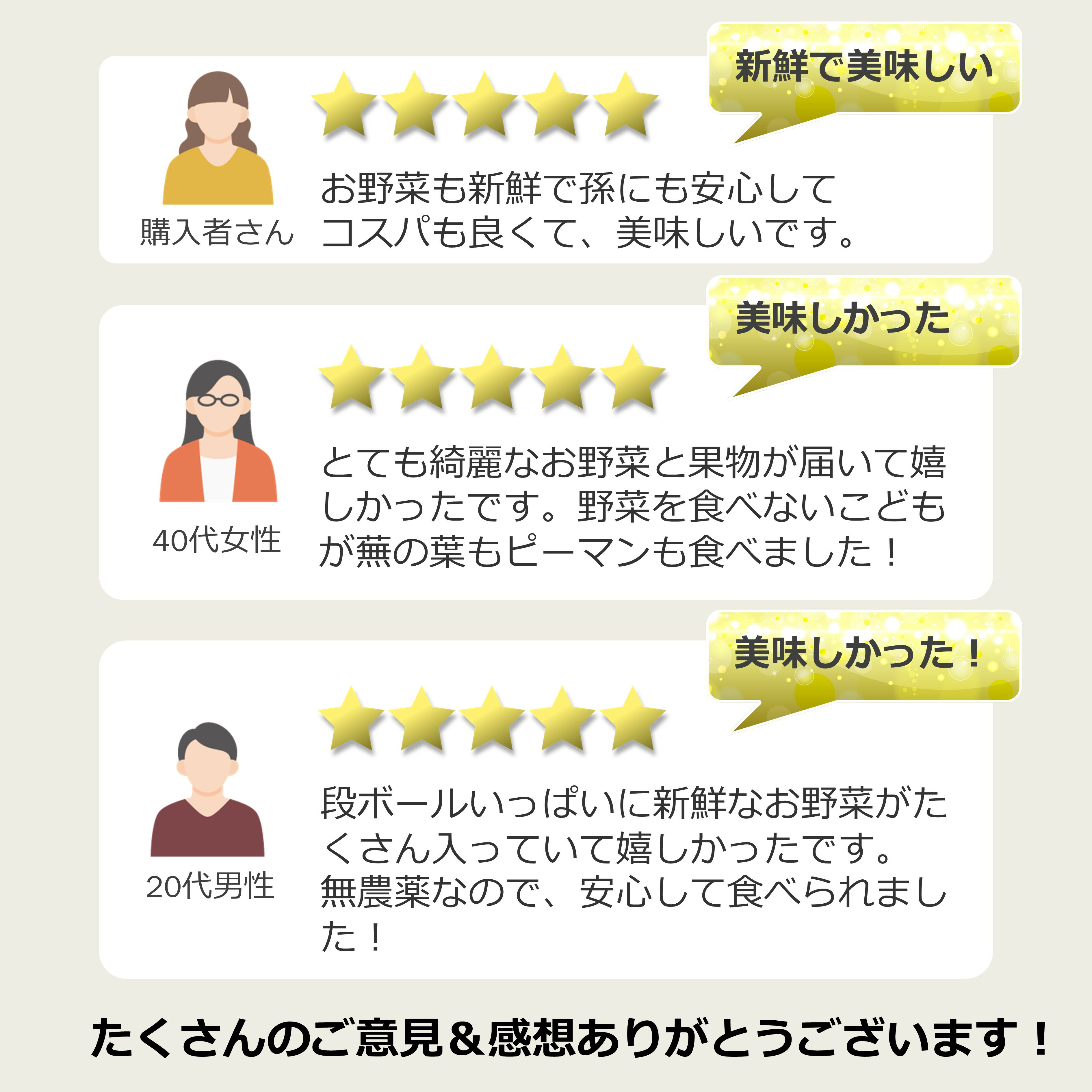 【ふるさと納税】 定期便 アリ！ 生命の農法（ 無化学農薬 ・ 無化学肥料栽培 ） 季節の野菜 セット | ヤサイ 野菜 やさい 詰め合わせ 奈良県 五條市 サムネイル3