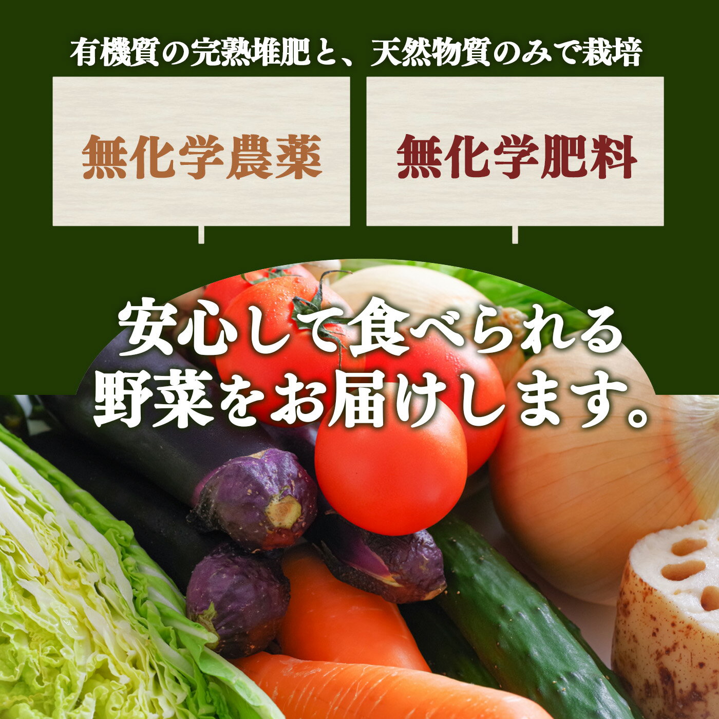【ふるさと納税】 玉ねぎ 生命の農法 （ 無化学農薬 ・ 無化学肥料栽培 ） 玉ねぎ 5kg ｜ヤサイ 野菜 やさい 玉葱 玉ねぎ たまねぎ 奈良県 五條市 5キロ - 画像2