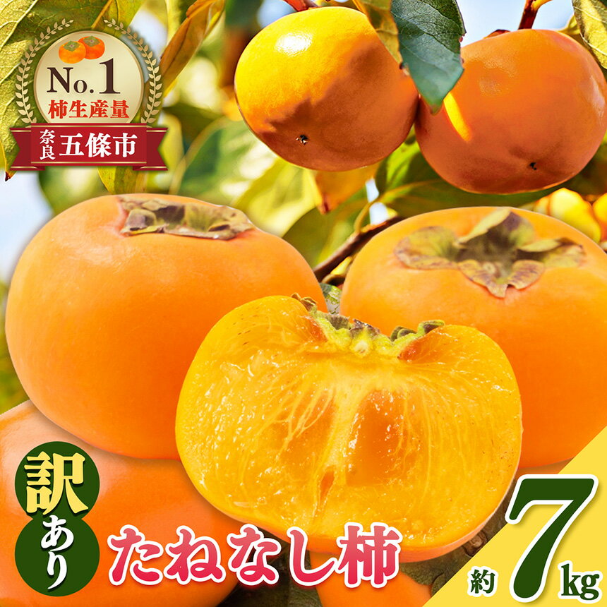 訳あり たねなし 柿 約 7kg | 柿 かき カキ 果物 フルーツ くだもの 訳あり 家庭用 ご家庭用 お歳暮 秋 味覚 奈良県 五條市