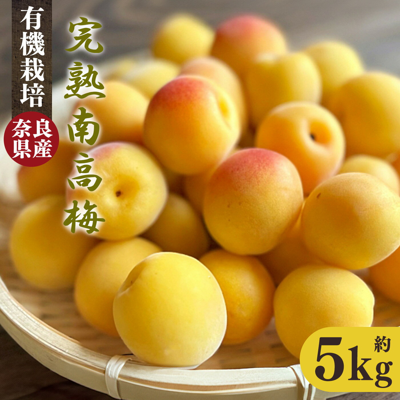 有機栽培　完熟南高梅 5kg | ＜※6月中旬〜7月上旬頃順次発送予定＞果実 かじつ カジツ 梅 うめ ウメ 奈良県 五條市