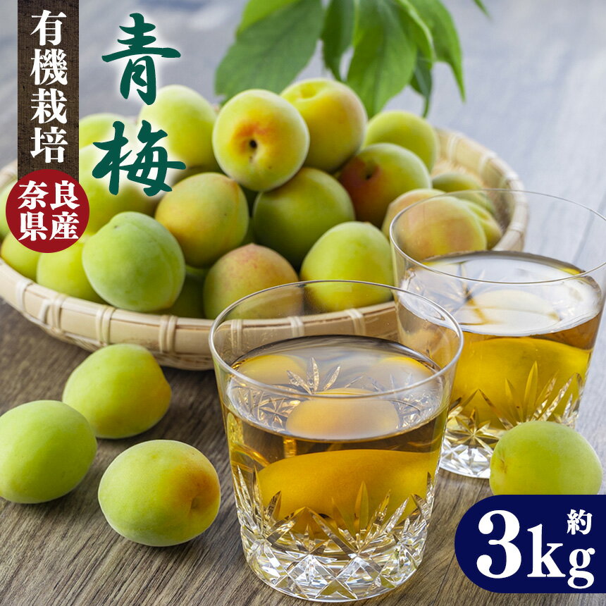 有機栽培　青梅 3kg（ジュース・梅酒・酵素用）|＜先行予約※6月上旬〜中旬頃順次発送予定＞ 果実 かじつ カジツ 梅 うめ ウメ 酒 奈良県 五條市
