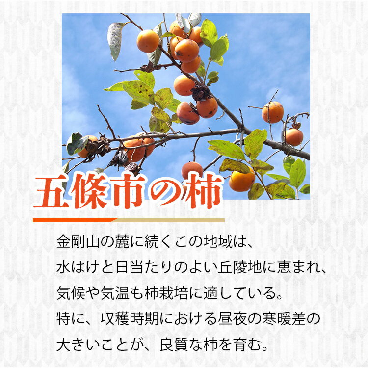 【ふるさと納税】柿のきもち（柿スライス）40g×10パック | くだもの 果物 柿 かき カキ 干し柿 奈良県 五條市 サムネイル3