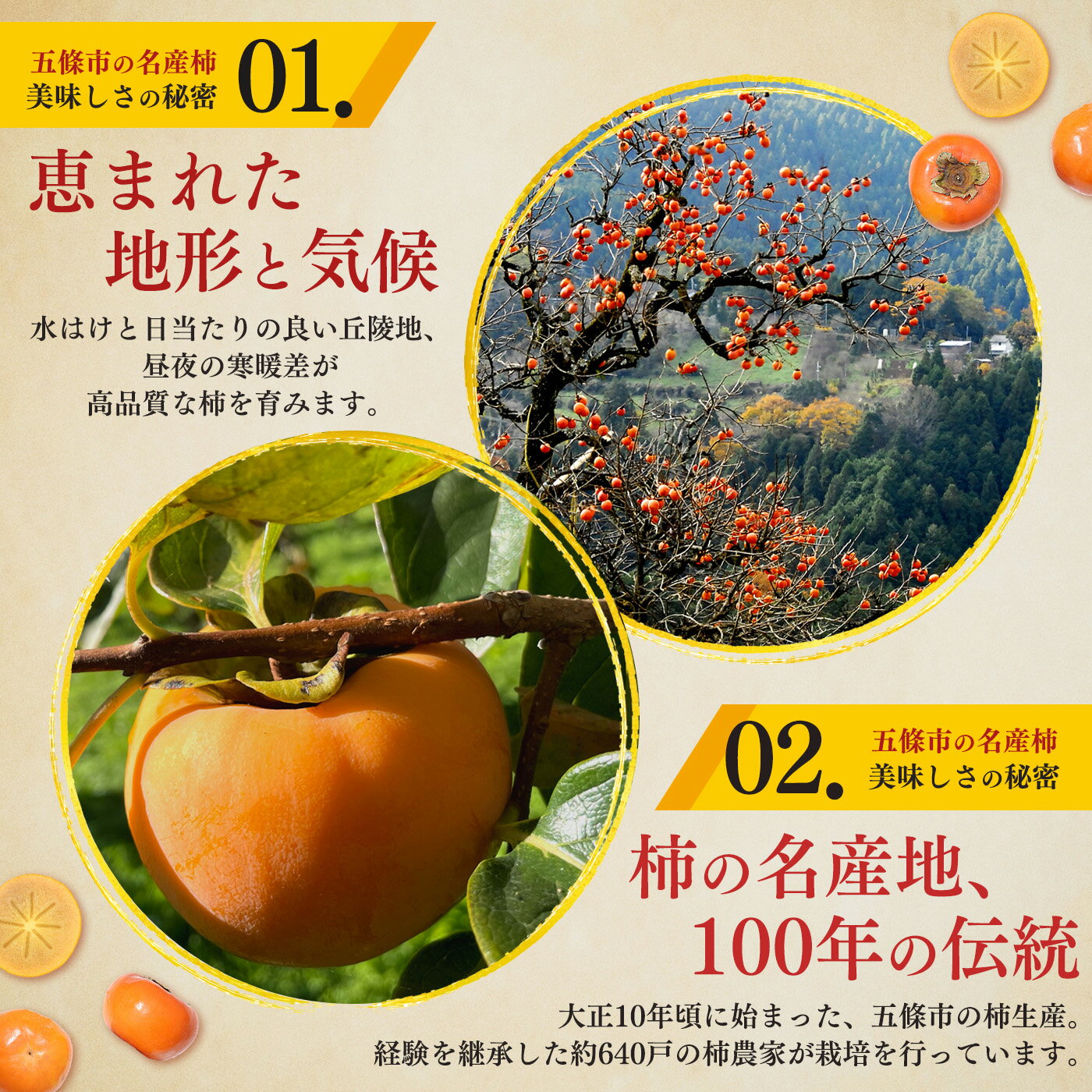 【ふるさと納税】 柿 富有柿 約 4kg | フルーツ 果物 くだもの 柿 カキ かき お歳暮 贈答品 贈り物 奈良県 五條市 ※11月上旬 発送予定 サムネイル3