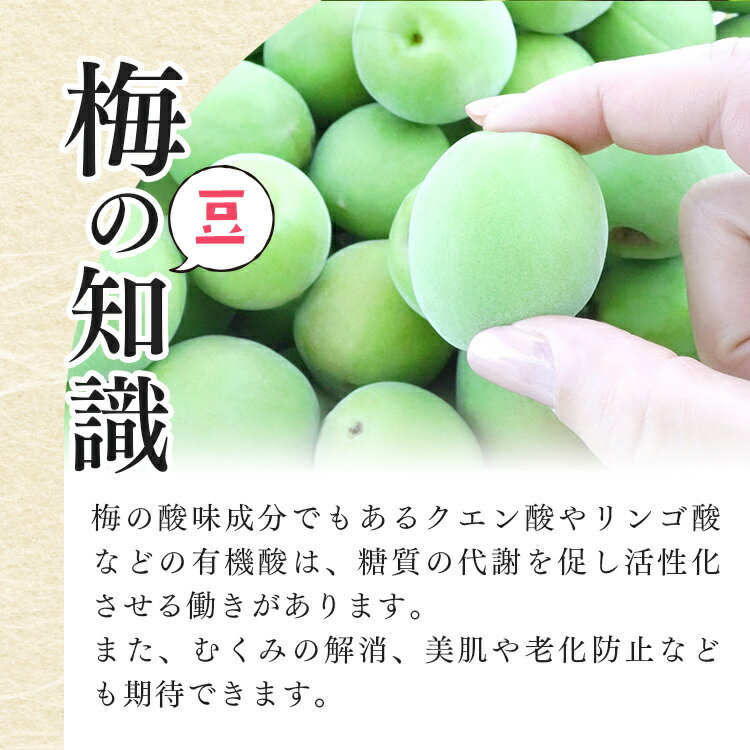 【ふるさと納税】【厳選】西吉野の青梅（南高梅）約4kg（秀品）| 果実 かじつ カジツ 梅 うめ ウメ 梅干し うめぼし 奈良県 五條市 健康※6月上旬～2025年6月下旬頃発送予定※北海道・沖縄・離島発送対応不可 サムネイル3