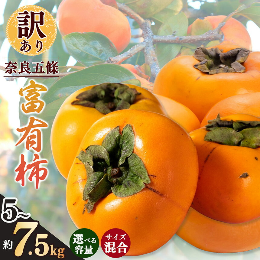訳あり 柿 富有柿 サイズおまかせ | フルーツ くだもの 果物 ブランド ふゆう 柿 かき カキ たっぷり 産地 奈良県 五條市 吉野