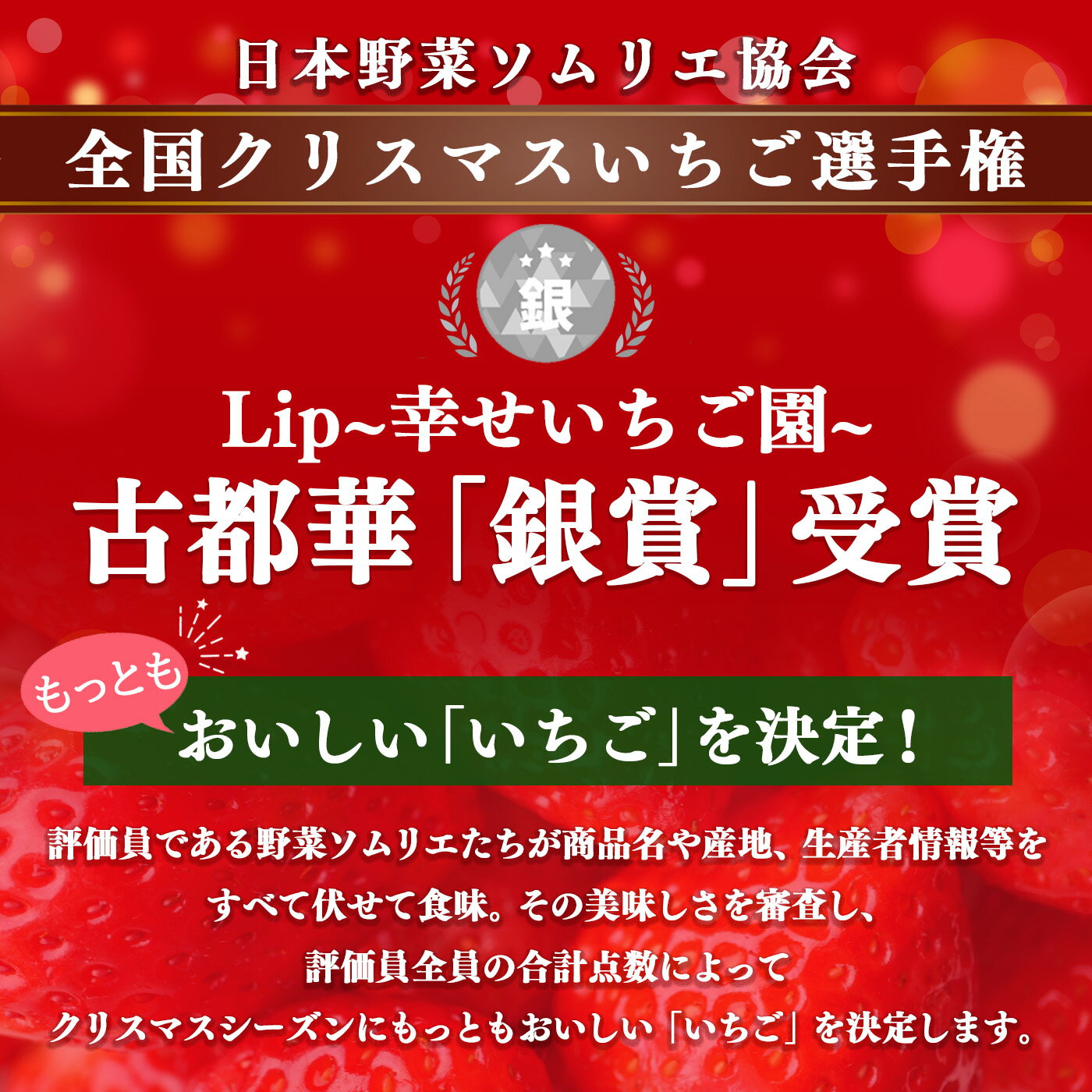 【ふるさと納税】 いちご 奈良県産ブランド「 古都華 （ ことか ）」 2パック （ 約540g ） 4パック （ 約1080g 以上 ）| フルーツ くだもの 果物 いちご イチゴ ことか コトカ 古都華 奈良県 五條市 サムネイル2