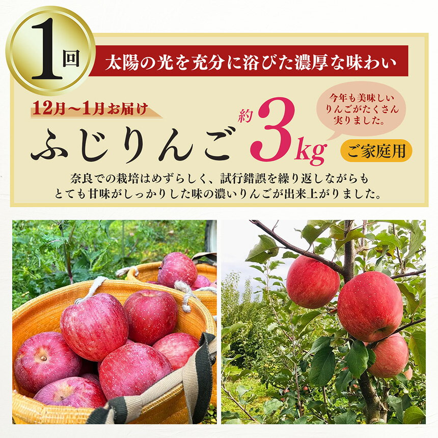 【ふるさと納税】 【 定期便 6 回 】 フルーツ の 都 五條市 を 代表 する 果物 定期便 ～ 季節 の 果物 ～ 6回 定期便 | 定期便 くだもの りんご 林檎 たねなし かき 種無し 富有柿 梨 桃 もも なし 葡萄 ぶどう 柿 生産量 日本一 いちご 苺 古都華 奈良県 五條市 90,000円 サムネイル3