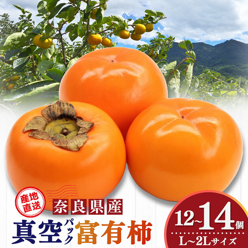 ※12//14申込まで年内発送可能！ 柿 貯蔵 富有柿 12 個～14 個 L～2L サイズ 年内発送可能 | 年内発送可能 お年賀 年内発送フルーツ くだもの 果物 柿 かき カキ 富有柿 奈良県 五條市