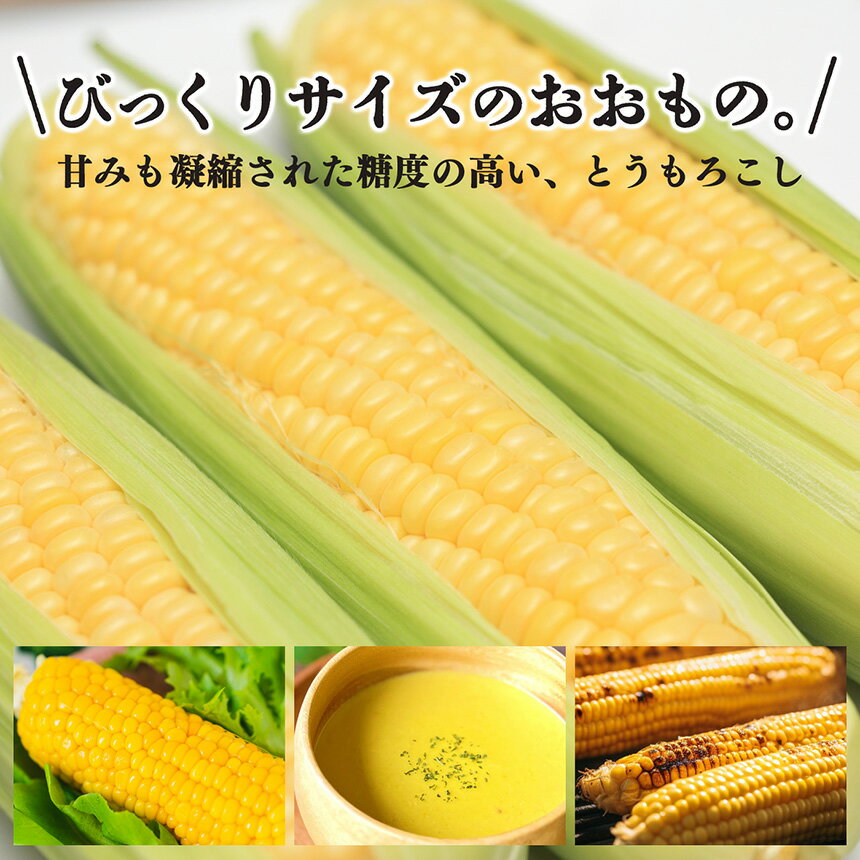 【ふるさと納税】【なら育ち 益田農園】鮮度 命 ！ 朝 採れ ！ 当日 出荷 ！ とうもろこし 約 4kg ( 10本 ～ 15本 ）| 品種 おおもの 高糖度 朝どれ 朝穫れ 野菜 やさい ヤサイ ベジタブル コーン 黄色 鮮度 良 ポタージュ スープ 奈良県 五條市 - 画像3